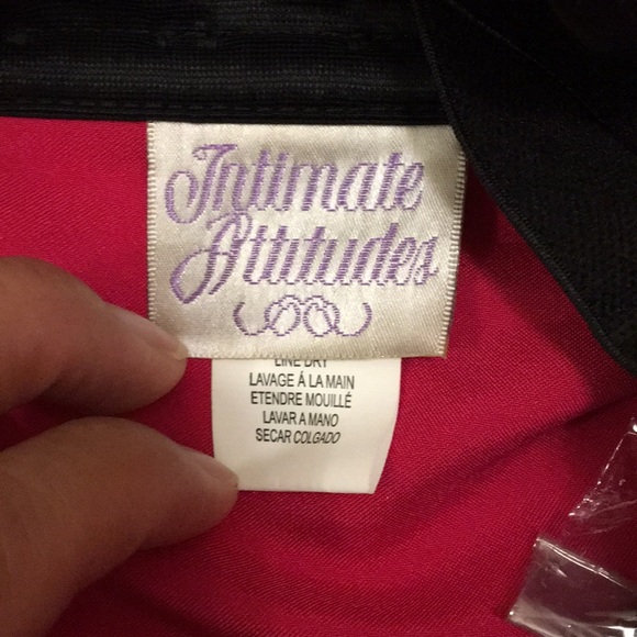 TATTOO ROSE EMBROIDERED CORSET - Picture 7 of 8